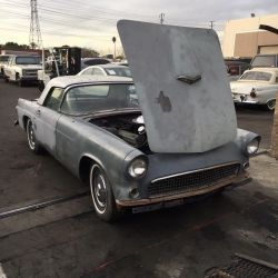 1955 Ford  Thunderbird  292 V8 auto 