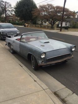1955 Ford  Thunderbird  292 V8 auto 