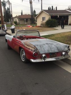 1955 Ford  Thunderbird  292 V8 auto 