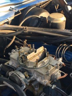 1965 Ford  Thunderbird   390 V8 auto 