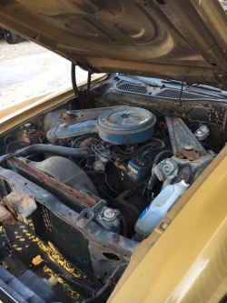 1972 Ford  Mustang Mach 1 351 V8 2V auto